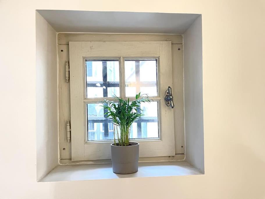 Appartement Duplex Avec Terrasse En Hypercentre De Grenoble Extérieur photo